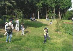 鎌倉の子連れにおすすめ公園8選　海の見える公園や自然とふれあえる公園がいっぱい！