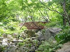 中自然の森 子連れのおでかけ 子どもの遊び場探しならコモリブ