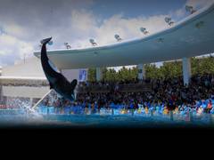 房総半島の子連れ観光 遊び場30選 南房総や館山の子供向け公園から鴨川アスレチックも 子連れのおでかけ 子どもの遊び場探しならコモリブ 房総半島の子連れ観光 遊び場30選 南房総や館山の子供向け公園から鴨川アスレチックも 子連れのおでかけ 子どもの遊び場探しならコモリブ