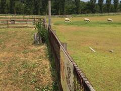 滋賀農業公園ブルーメの丘