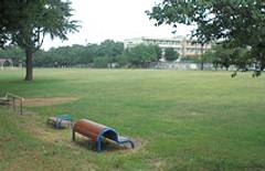 彩の森入間公園 さいのもりいるまこうえん 子連れのおでかけ 子どもの遊び場探しならコモリブ