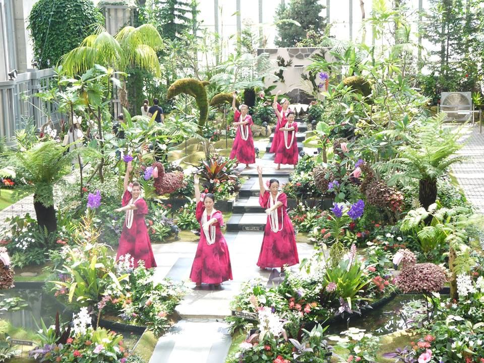 兵庫県立淡路夢舞台温室 奇跡の星の植物館 子連れのおでかけ 子どもの遊び場探しならコモリブ