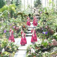 兵庫県立淡路夢舞台温室「奇跡の星の植物館」