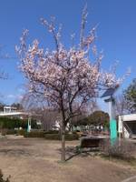 敷島公園 の写真 (1)