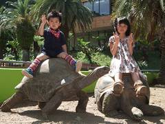 体感型動物園iZoo（イズー）