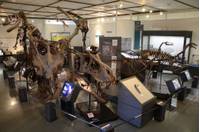御船町恐竜博物館 の写真