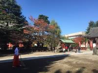 浅草神社 の写真