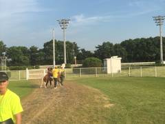 大井競馬場