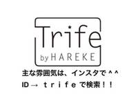 トライフ(Trife by HAREKE)