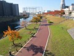 旧中川水辺公園 子連れのおでかけ 子どもの遊び場探しならコモリブ 旧中川水辺公園 子連れのおでかけ 子どもの遊び場探しならコモリブ