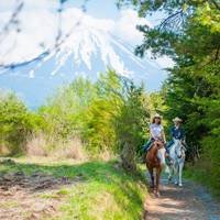 パディーフィールド 富士山麓 ホーストレッキング(乗馬)