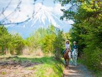 パディーフィールド 富士山麓 ホーストレッキング(乗馬)