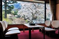 箱根湯本温泉 吉池旅館 の写真 (3)