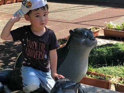 愛媛の子供と楽しめる遊び場30選 お出かけや観光におすすめなイベント開催施設も 子連れのおでかけ 子どもの遊び場探しならコモリブ 愛媛の子供と楽しめる遊び場30選 お出かけや観光におすすめなイベント開催施設も 子連れのおでかけ 子どもの遊び場探しならコモリブ