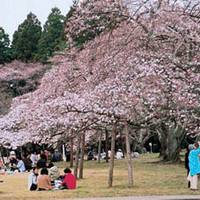三神峯公園 の写真 (1)