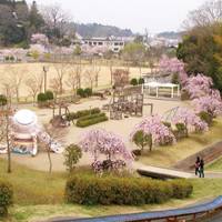 台山公園　（だいやまこうえん） の写真 (2)