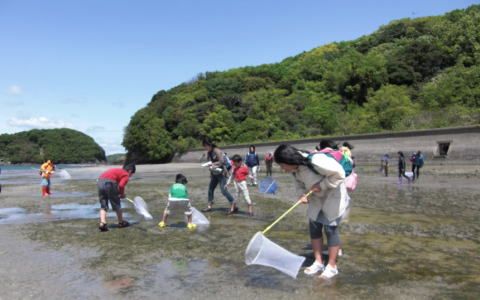 海の博物館 子連れのおでかけ 子どもの遊び場探しならコモリブ