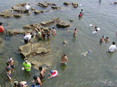 横須賀で雨の日も楽しめる室内遊び場12選 遊具充実の施設や子供向けイベント開催も 子連れのおでかけ 子どもの遊び場探しならコモリブ 横須賀で雨の日も楽しめる室内遊び場12選 遊具充実の施設や子供向けイベント開催も 子連れのおでかけ 子どもの遊び場探しならコモリブ