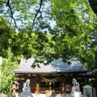 新田神社 の写真 (2)
