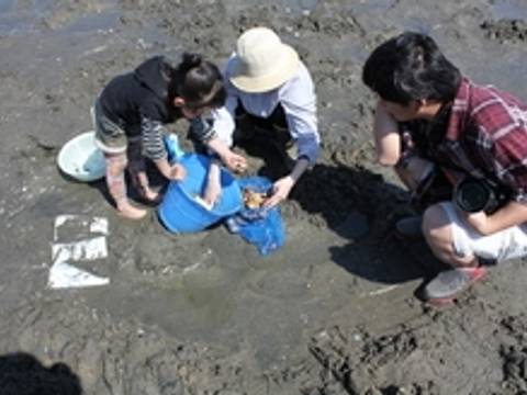 御殿場海岸 潮干狩り場 子連れのおでかけ 子どもの遊び場探しならコモリブ 御殿場海岸 潮干狩り場 子連れのおでかけ 子どもの遊び場探しならコモリブ