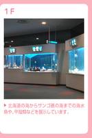 新札幌 サンピアザ水族館 の写真 (2)
