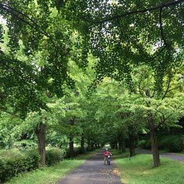 東京の子供とピクニックが楽しめる公園選 都内の人気公園や赤ちゃん連れに最適な所も 子連れのおでかけ 子どもの遊び場探しならコモリブ