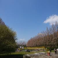 県立相模原公園 の写真 (1)