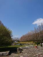 県立相模原公園 の写真 (1)