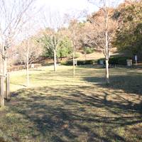 今川公園 の写真 (1)