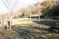 今川公園 の写真 (1)