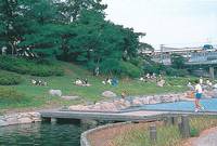 兵庫島公園 の写真 (1)
