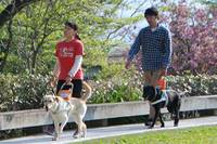 日本盲導犬総合センター 盲導犬の里 富士ハーネス の写真 (3)