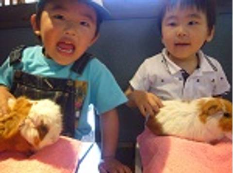 愛知で動物とふれあいができるスポット16選 ふれあい動物園から名古屋にある犬カフェも 子連れのおでかけ 子どもの遊び場探しならコモリブ