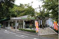 高崎山自然動物園 の写真 (2)