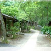 仙台近郊・秋保「木の家」 の写真 (2)
