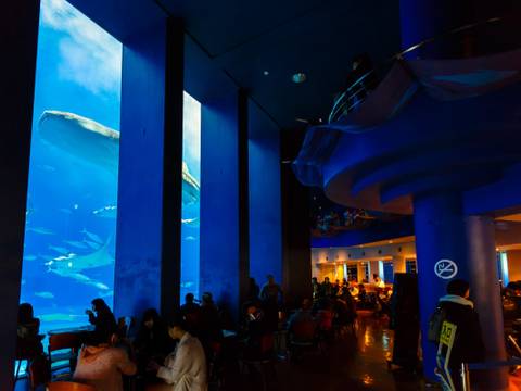 Ocean Blue オーシャンブルー 子連れのおでかけ 子どもの遊び場探しならコモリブ Ocean Blue オーシャンブルー 子連れのおでかけ 子どもの遊び場探しならコモリブ