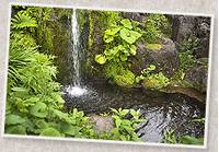 奥飛騨平湯温泉 やまと館 の写真 (2)