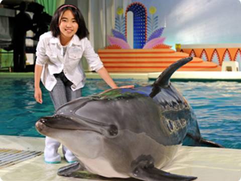 横須賀の子供向け遊び場15選 遊具のある公園や三浦半島観光に最適なところも 子連れのおでかけ 子どもの遊び場探しならコモリブ 横須賀の子供向け遊び場15選 遊具のある公園や三浦半島観光に最適なところも 子連れのおでかけ 子どもの遊び場探しならコモリブ