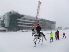 札幌競馬場