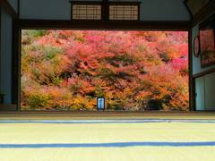 城崎温泉 ときわ旅館