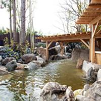 太閤山天然温泉　太閤の湯 の写真 (2)