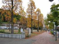 奈良山公園（ならやまこうえん） の写真 (2)