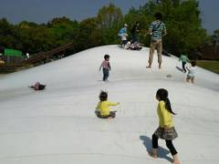 佐賀県の子連れ旅行おすすめ観光地10選 親子で行きたい名所ばかり 子連れのおでかけ 子どもの遊び場探しならコモリブ