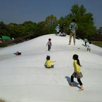 芽っ子ママさんが撮った 吉野ヶ里歴史公園 の写真
