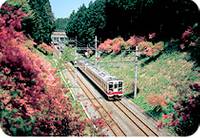 東武鉄道 スカイツリートレイン の写真 (1)