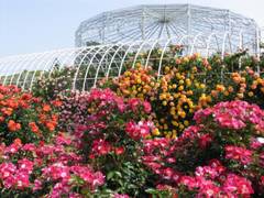 九十九島動植物園　森きらら