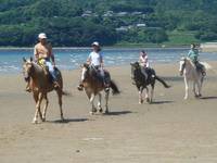 シービューランチ 平戸海岸 ホーストレッキング(乗馬) の写真 (2)