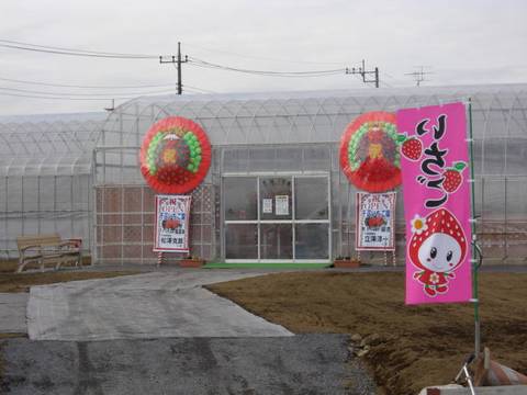 千疋いちご園 せんびきいちごえん 子連れのおでかけ 子どもの遊び場探しならコモリブ 千疋いちご園 せんびきいちごえん 子連れのおでかけ 子どもの遊び場探しならコモリブ