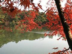 再度公園（ふたたび公園）