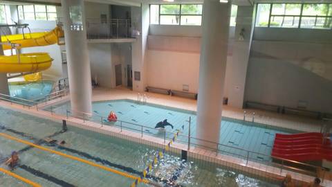 金沢市近郊の子連れｏｋなプールおすすめ5選 子連れのおでかけ 子どもの遊び場探しならコモリブ